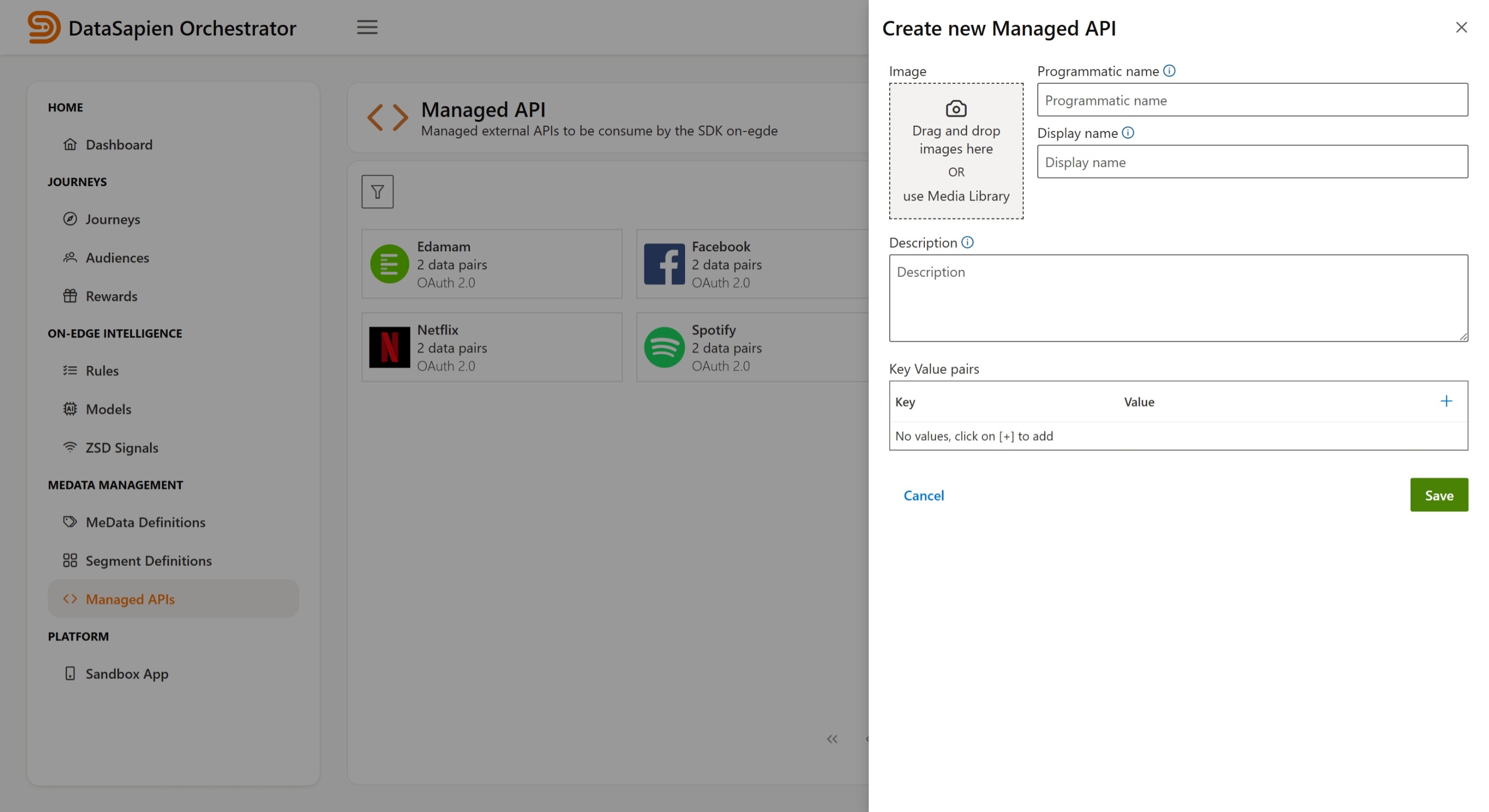 Managed API Editor